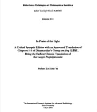 In Praise of the Light - Stefano Zacchetti
