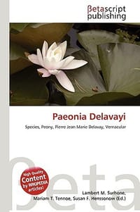 Paeonia Delavayi