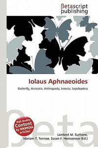 Iolaus Aphnaeoides