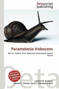 Paramelania Iridescens