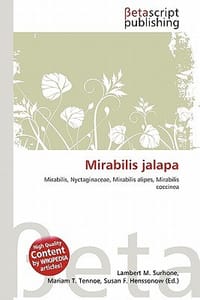 Mirabilis Jalapa