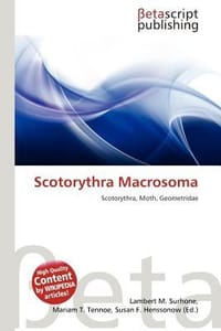 Scotorythra Macrosoma