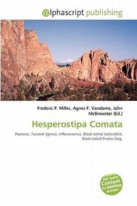 Hesperostipa Comata