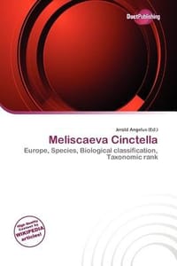 Meliscaeva Cinctella - Angelus, Jerold