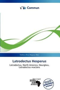 Latrodectus Hesperus