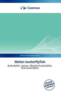 Melon Butterflyfish