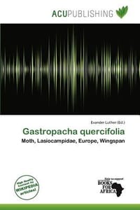 Gastropacha Quercifolia