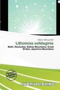 Lithomoia Solidaginis - Mainyu, Eldon A.