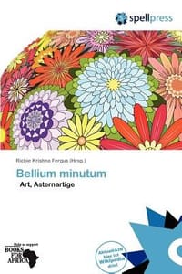 Bellium Minutum