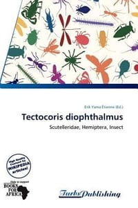Tectocoris Diophthalmus