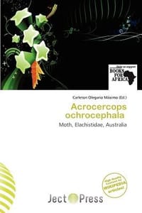 Acrocercops Ochrocephala