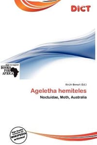 Ageletha Hemiteles - Benoit, Kn Tr