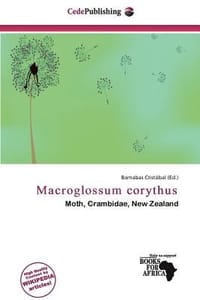 Macroglossum Corythus - Crist Bal, Barnabas