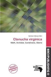 Ctenucha Virginica