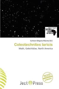 Coleotechnites Laricis