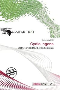Cydia Ingens