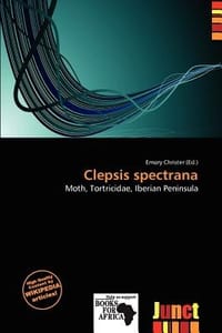 Clepsis Spectrana