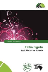 Feltia Nigrita