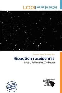 Hippotion Roseipennis - Victorino, Terrence James