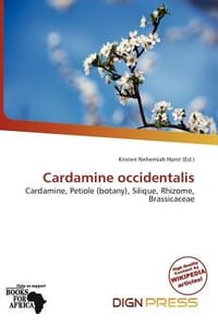 Cardamine Occidentalis
