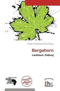Bergahorn