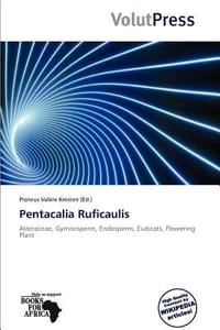 Pentacalia Ruficaulis - Val Re Kresten, Proteus