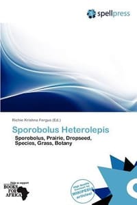 Sporobolus Heterolepis