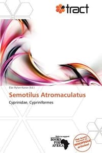 Semotilus Atromaculatus