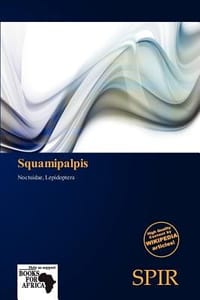 Squamipalpis - Fernande, Antigone