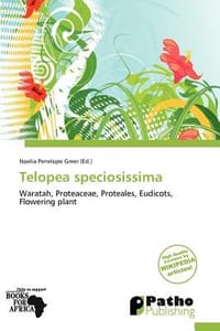 Telopea Speciosissima - Greer, Noelia Penelope