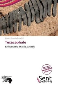 Texacephale - Gitta, Mariam Chandra