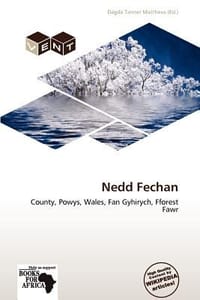 Nedd Fechan