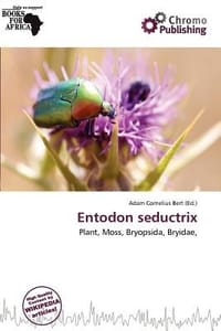 Entodon Seductrix - Bert, Adam Cornelius