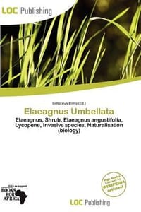 Elaeagnus Umbellata - Elmo, Timoteus