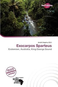 Exocarpos Sparteus - Angelus, Jerold