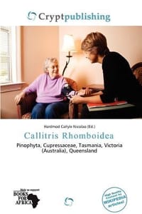 Callitris Rhomboidea - Nicolao, Hardmod Carlyle
