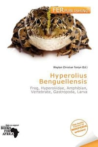 Hyperolius Benguellensis - Terryn, Waylon Christian