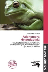 Adenomera Hylaedactyla