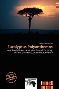 Eucalyptus Polyanthemos