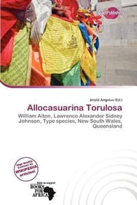 Allocasuarina Torulosa - Angelus, Jerold