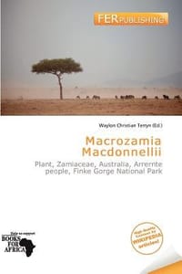 Macrozamia Macdonnellii
