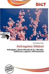 Astragalus Gibbsii - Benoit, Kn Tr