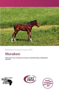 Murakosi