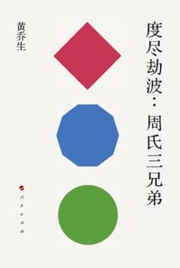 书籍 度尽劫波的封面