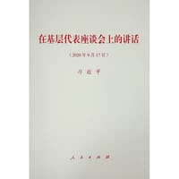 在基层代表座谈会上的讲话 - 习近平