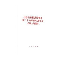 习近平在亚太经合组织第二十八次领导人非正式会议上的讲话 - 习近平
