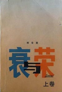 书籍 衰与荣的封面
