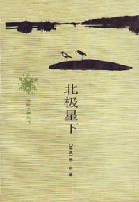 书籍 北极星下的封面