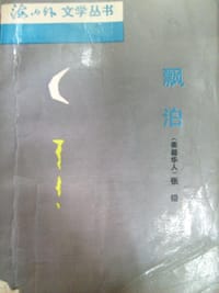 漂泊