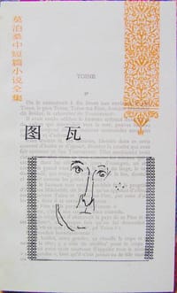 书籍 图瓦的封面